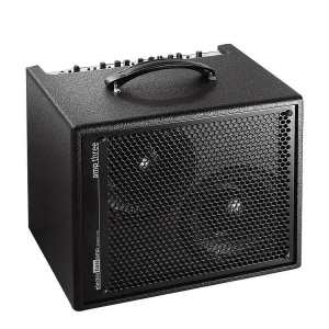 AER Amp III Bass Amp Combo