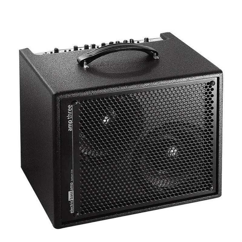 AER Amp III Bass Amp Combo