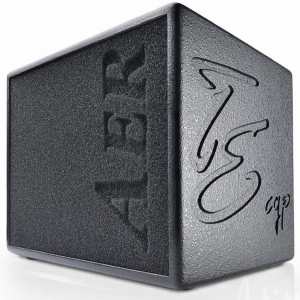 AER Compact 60 Tommy Emmanuel Signature Acoustic Amp with Padded Gig-bag