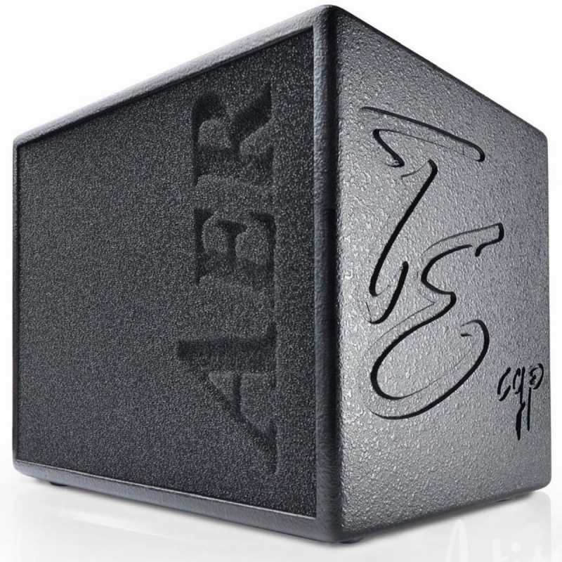 AER Compact 60 Tommy Emmanuel Signature Acoustic Amp with Padded Gig-bag