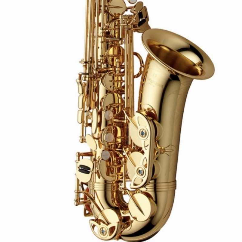 Yanagisawa AWO1 Brass Lacquered Alto Saxophone Outfit (AW01)