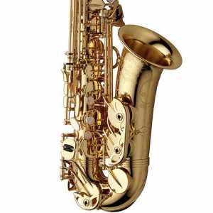 Yanagisawa AWO10 Brass Lacquered Elite Model Alto Saxophone Outfit
