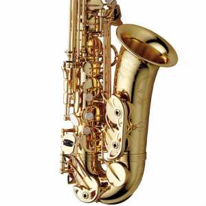 Yanagisawa AWO10U Elite Model Brass Unlacquered Alto Saxophone Outfit