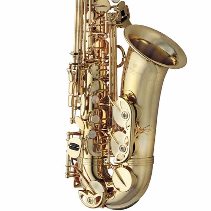 Yanagisawa AWO1U Brass Unlacquered Alto Saxophone Outfit