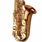 Yanagisawa AWO2 Professional Model Bronze Lacquered Alto Saxophone Outfit