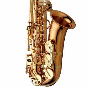 Yanagisawa AWO2 Professional Model Bronze Lacquered Alto Saxophone Outfit