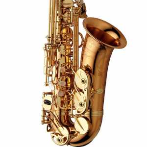 Yanagisawa AWO20 Elite Model Bronze Lacquered Alto Saxophone Outfit