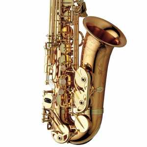 Yanagisawa AWO20U Elite Model Bronze Unlacquered Alto Saxophone Outfit
