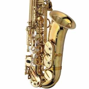 Yanagisawa AWO30 Elite Model Part Solid Silver Alto Saxophone Outfit
