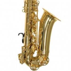 Trevor James Alphasax 2 Alto Sax Outfit with Lightweight Back-Pack Case (371A2)