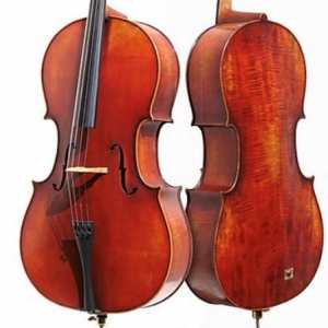 Bridge Tasman Electro Acoustic Cello With Moulded Hard Case