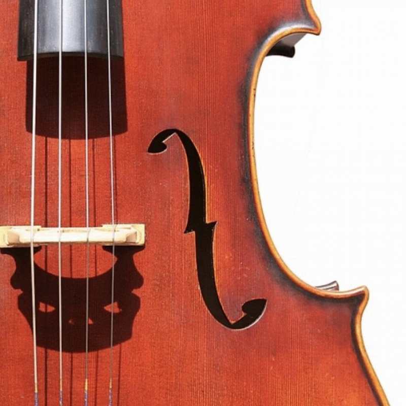 Bridge Tasman Electro Acoustic Cello With Moulded Hard Case - Image 4