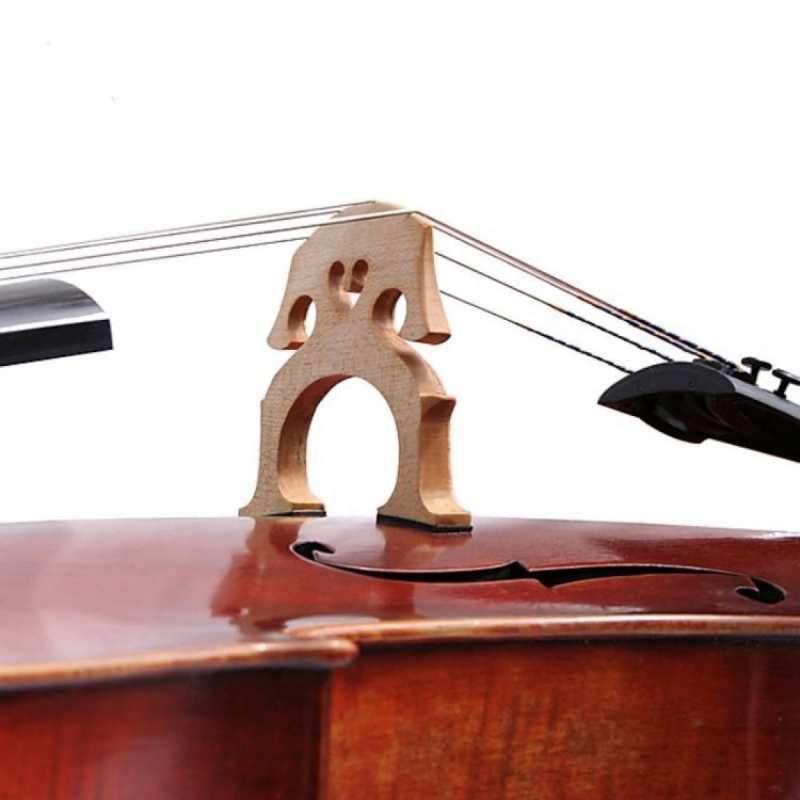 Bridge Tasman Electro Acoustic Cello With Moulded Hard Case - Image 2