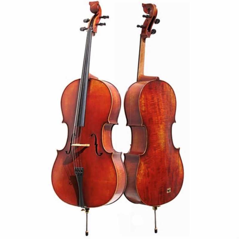 Bridge Tasman Electro Acoustic Cello With Moulded Hard Case - Image 10