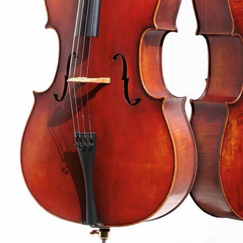 Bridge Tasman Electro Acoustic Cello With Moulded Hard Case - Image 11