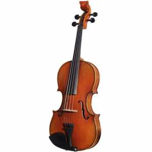 Bridge Tasman Electro Acoustic Viola With Oblong Hard Case