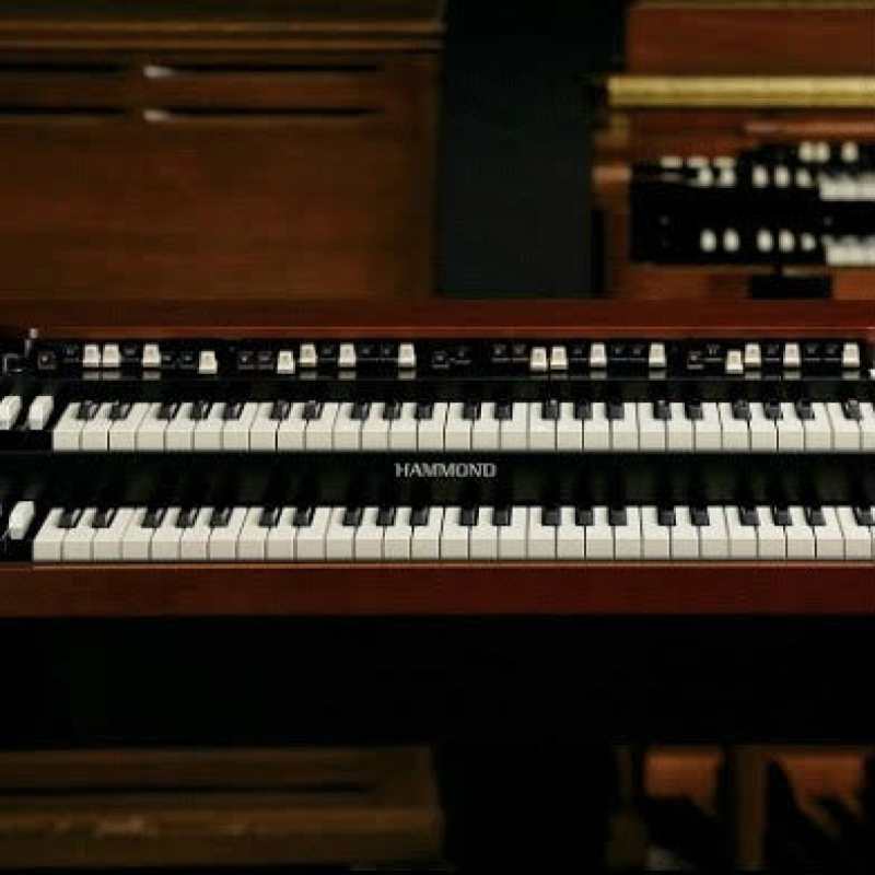 Hammond XK5 Portable Organ - Image 7