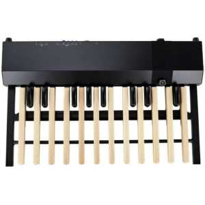 Hammond XPK200GL Midi Pedalboard (With Built-in Sounds & Long Pedals)