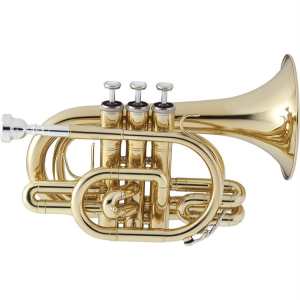 Jupiter JTR710 Bb Pocket Trumpet Outfit With Mouthpiece & Soft Bag