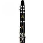 Jupiter JCL750SQ Grenadilla Wood Bb Clarinet Outfit with Mouthpiece & Backpack Softcase