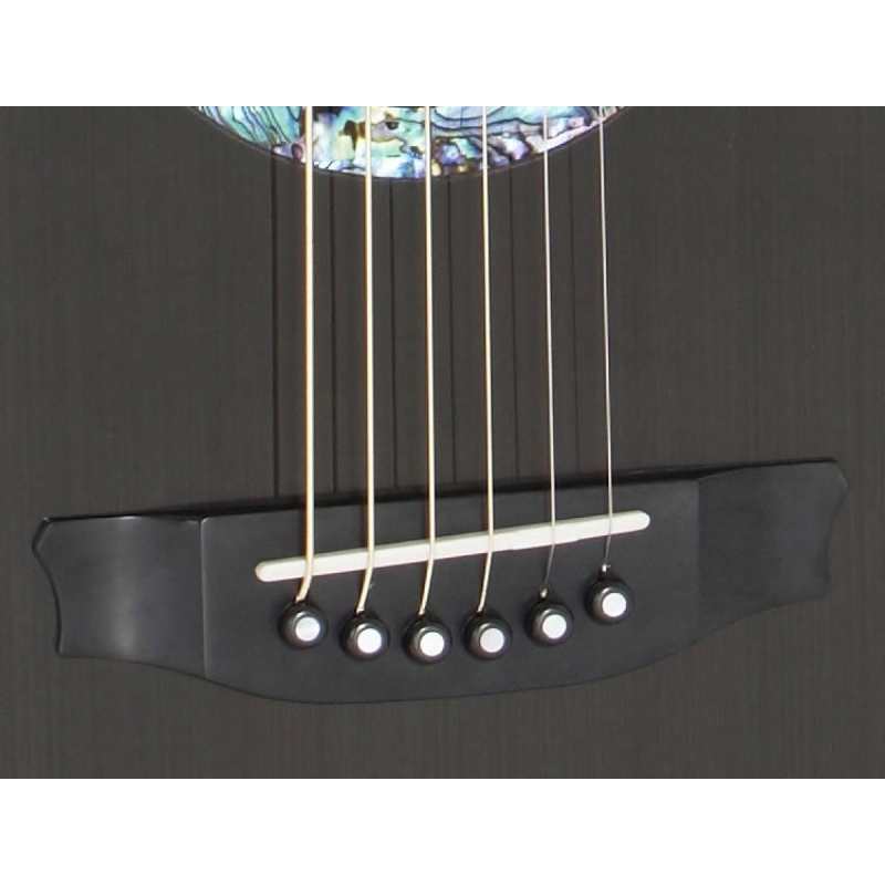 RainSong CO-OM1000N2 Concert Graphite OM Electro Acoustic Guitar - Image 2