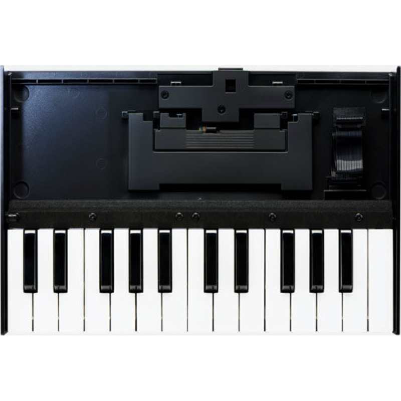 Roland K25M Keyboard Unit for Boutique Series