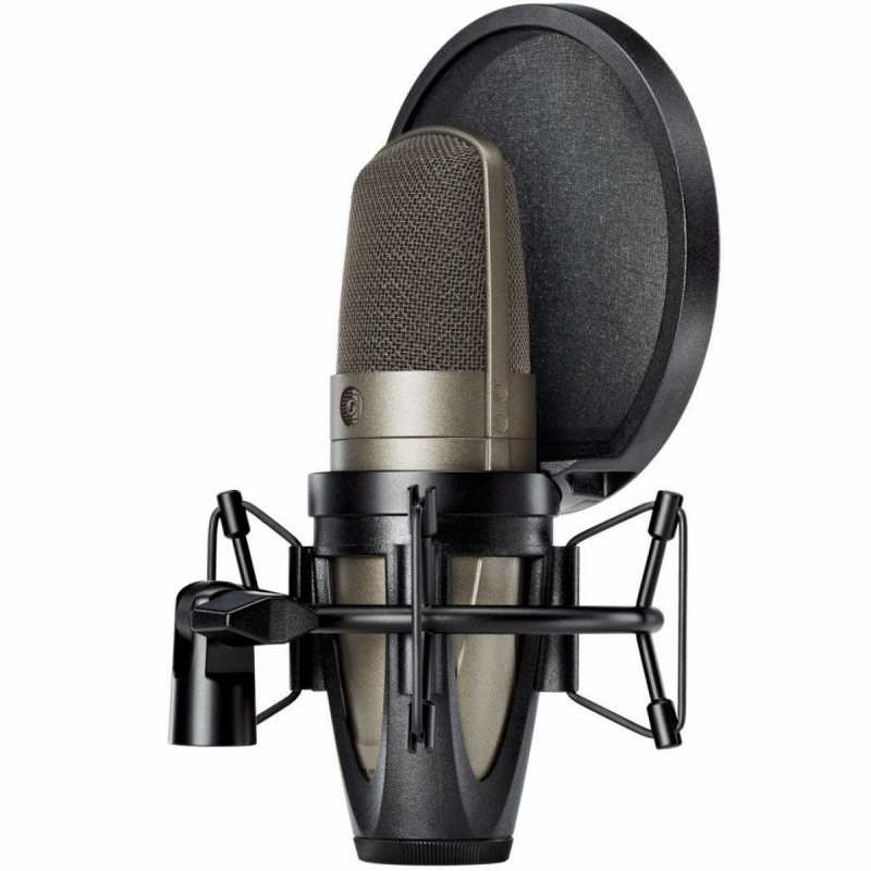 Shure KSM42/SG Large Dual-Diaphragm Vocal Microphone - Image 3