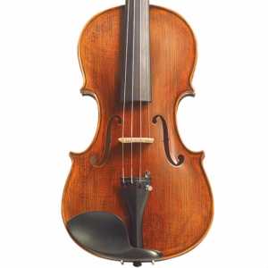 Stentor 4/4 Arcadia Violin - Instrument Only (1880A)