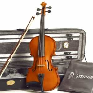 Stentor 4/4 Conservatoire 2 Violin Outfit with Bow, Case & Rosin (1560A)