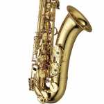 Yanagisawa TWO10 Brass Lacquered Tenor Saxophone Outfit