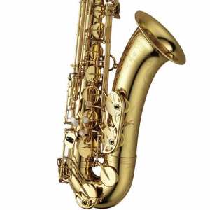 Yanagisawa TWO10 Brass Lacquered Tenor Saxophone Outfit