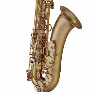 Yanagisawa TWO1U Brass Unlacquered Tenor Saxophone Outfit