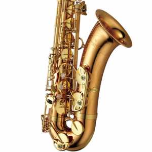 Yanagisawa TWO2 Bronze Lacquered Tenor Saxophone Outfit