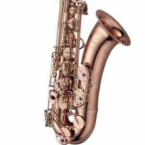 Yanagisawa TWO20PG Pink Gold Plated Tenor Saxophone Outfit