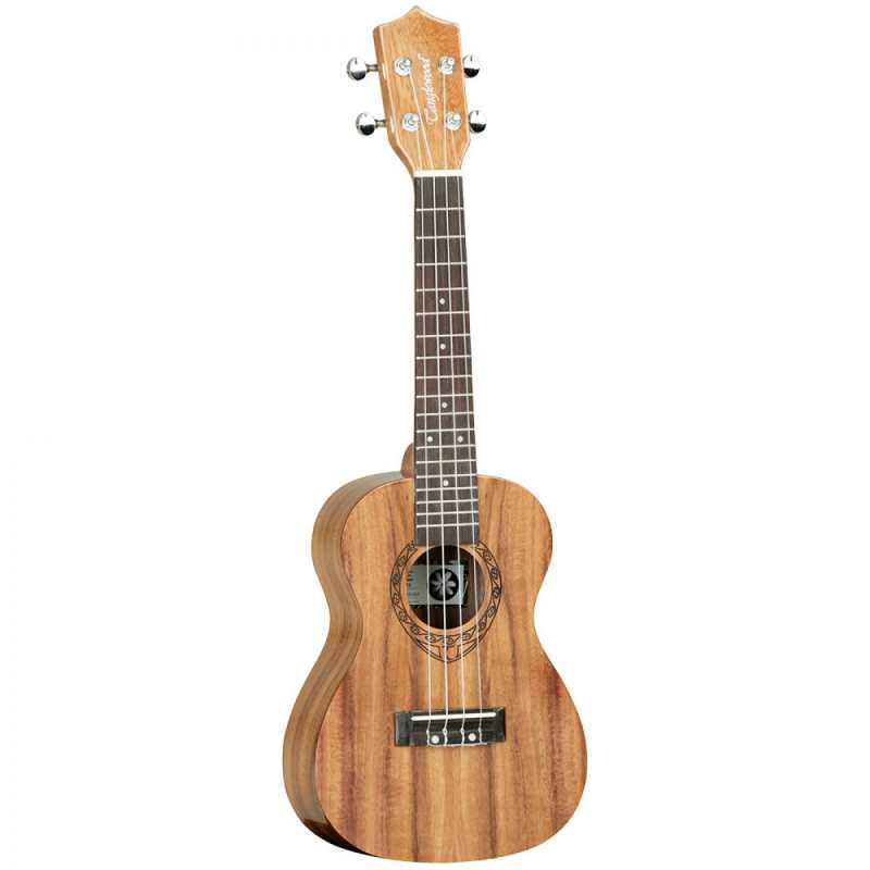 Tanglewood TWT8 Concert Ukulele - Image 2