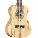 Tanglewood TWT10 Concert Ukulele