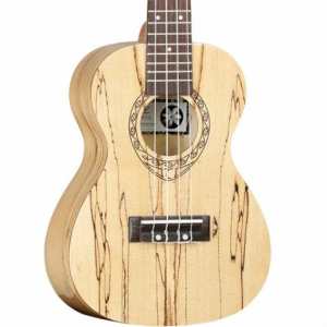 Tanglewood TWT10 Concert Ukulele