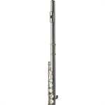 Trevor James 5X Flute Outfit (3005EW)