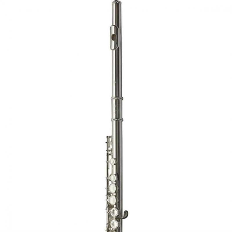 Trevor James 5X Flute Outfit (3005EW)