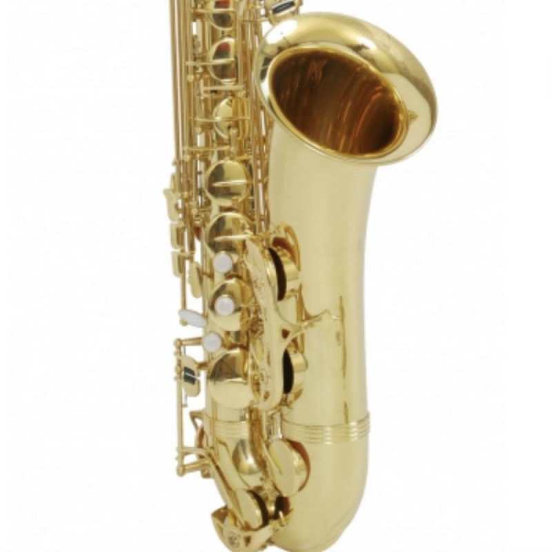 Trevor James Alphasax 2 Alto Sax Outfit with Lightweight Back-Pack Case (371A2) - Image 4