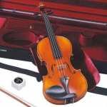 Full-size Yamaha Braviol V10SG Violin Outfit With Bow & Oblong Case