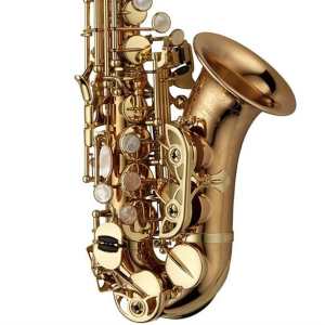 Yanagisawa SCWO20U Unlacquered Bronze Curved Soprano Saxophone Outfit