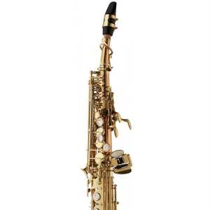 Yanagisawa SWO20 Straight Soprano Bronze Saxophone Outfit