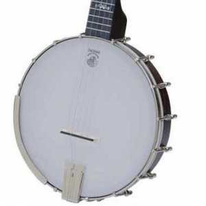 Deering Artisan Goodtime 5 String Banjo with Open Back