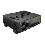 Bergantino Forte Bass Amplifier