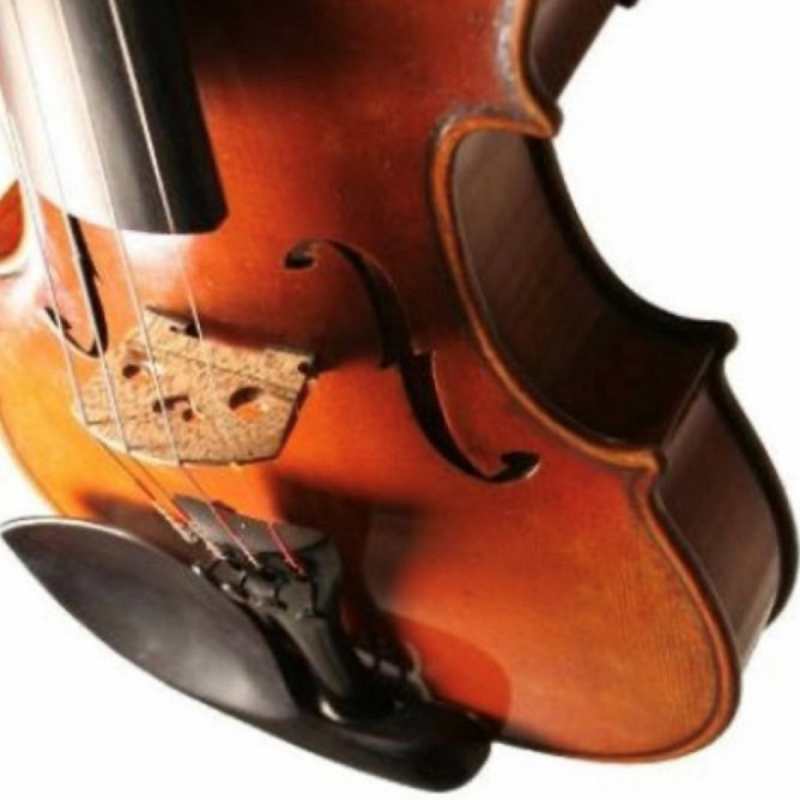 Bridge Tasman 4-String Electro Acoustic Violin With Oblong Hard Case - Image 8