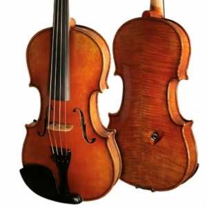 Bridge Tasman 4-String Electro Acoustic Violin With Oblong Hard Case