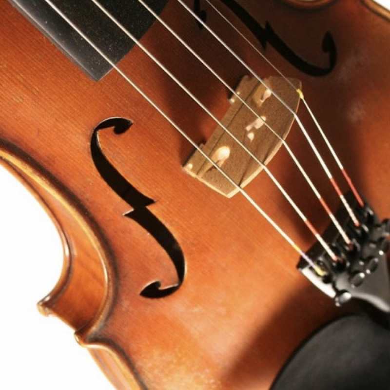 Bridge Tasman 5-String Electro Acoustic Violin With Oblong Hard Case - Image 2
