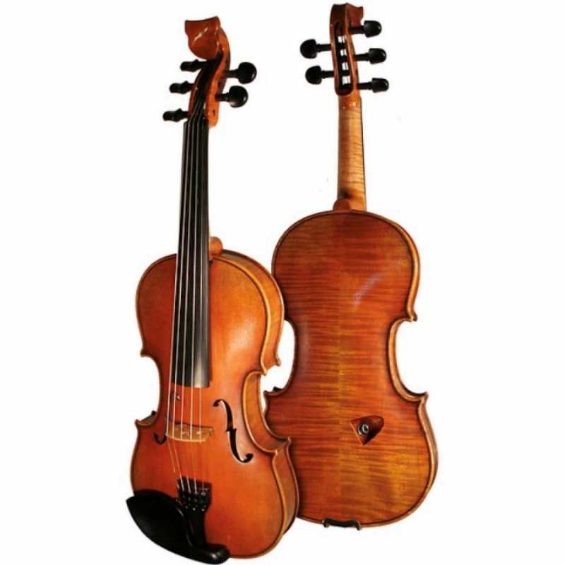 Bridge Tasman 5-String Electro Acoustic Violin With Oblong Hard Case - Image 7