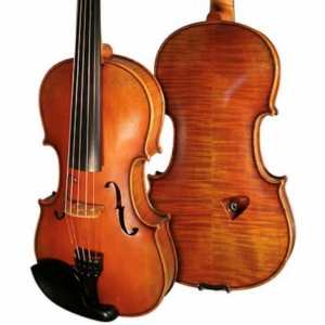 Bridge Tasman 5-String Electro Acoustic Violin With Oblong Hard Case